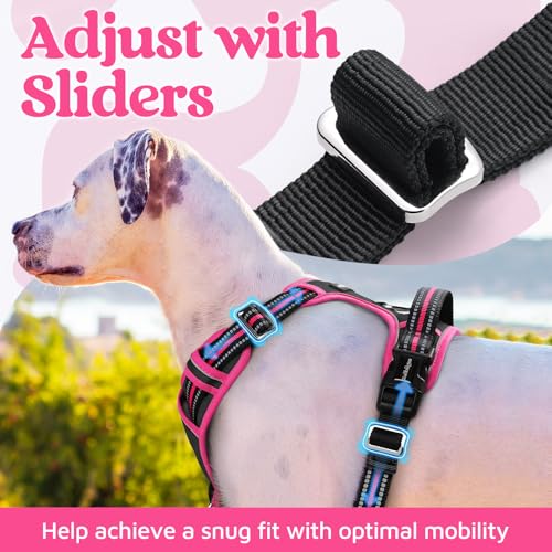 Dog Harness Medium Sized (Black & Pink / Medium)
