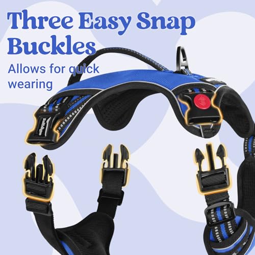 Large Dog Harness (Small / Blue)