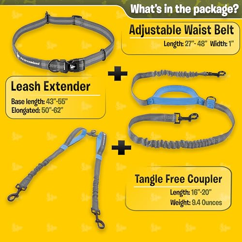 Exquisite Hands Free Dual Dog Leash with Tangle (Grey & Blue)