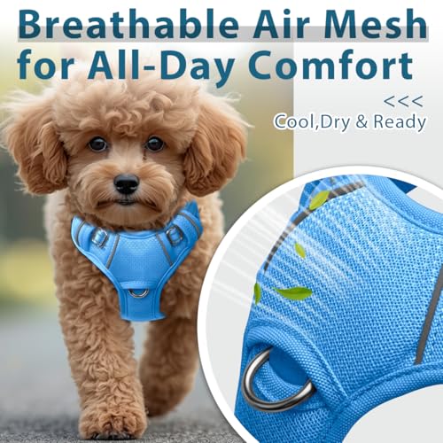 No Pull Dog Harness for Small Sized Dogs (X-Small(Chest:15.5-19.5”) / Blue)