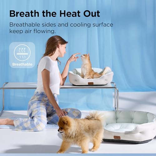 AeroFrost™ Cooling Small Dog Bed (20"L x 19"W x 6"Th / Arctic Cooling Blue)