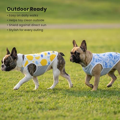 2 Pack Ice Lemon UPF 50+ UV Sun Protection Dog Shirt (Small / Ice & Lemon)