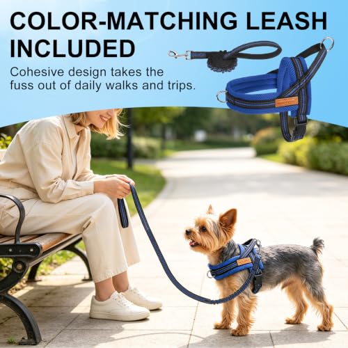 Small Dog Harness and Leash Set (Dark Blue / S: Chest 17.5"-22")