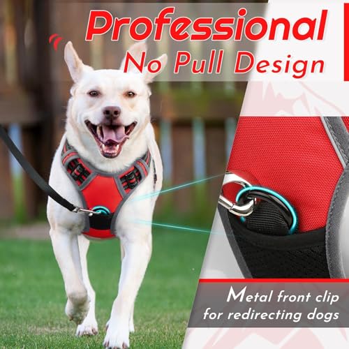 Dog Harness for Small Dogs (Small / Red)