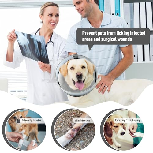 Inflatable Dog Cone (L / Gray)