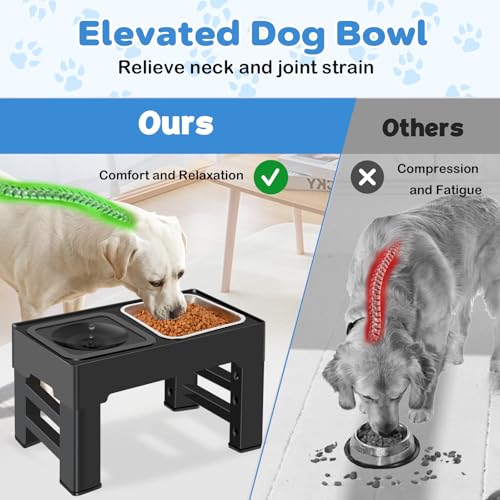 Elevated 2 in (Stainless Steel Food Bowl)