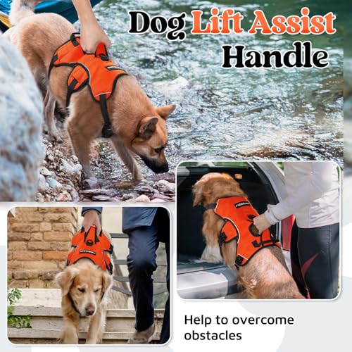 Escape Proof Dog Harness for Large (Orange / Large)