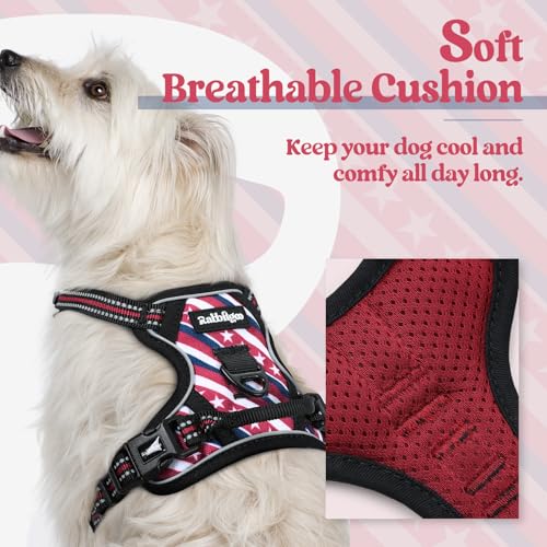 Dog Harness No Pull for Small Dogs with 2 Leash Clips (X-Small / Red Stripe)