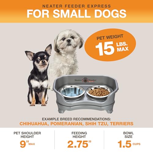Express Mess Proof Dog Bowls Elevated for Small Breeds Under 15 Lb (Small w/ Standard Bowls / Gunmetal Grey)
