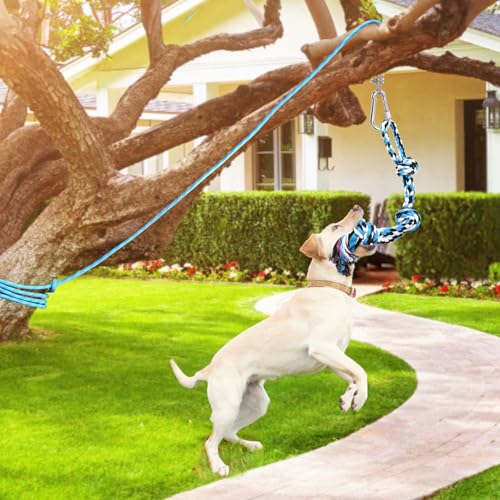 Spring Pole Toy for Pitbull (Blue+White)