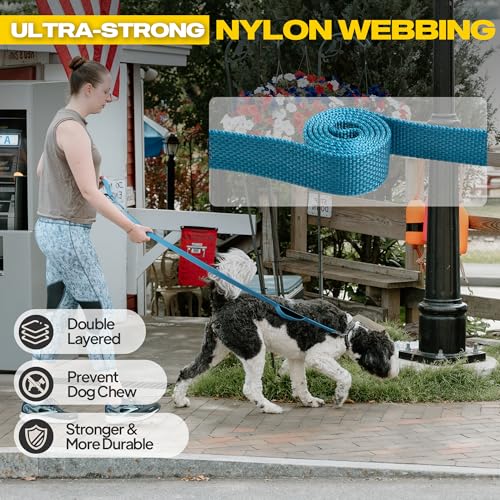 10 FT Heavy Duty Dog Leash (10 Feet (Pack of 1) / Blue)