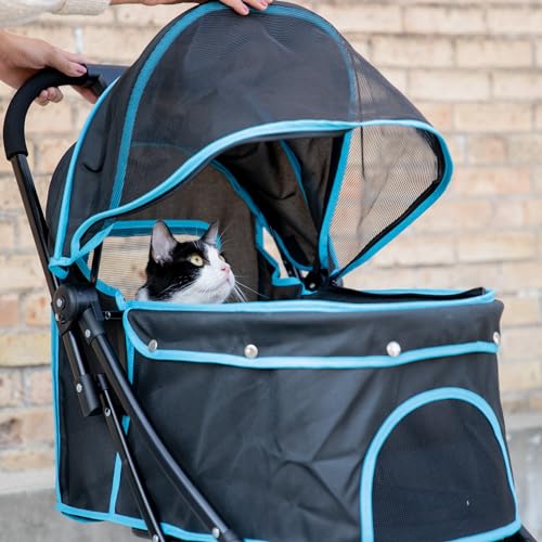 Carlson Pet Stroller for Dogs and Cats up to 30 lb (Black with Blue Details)