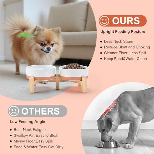 Elevated Dog Bowls Ceramic (5.1 in - 1.7 cups / Pattern White)