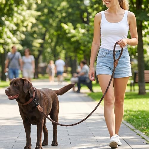 Dog Leash Braided Cotton Rope with Leather (Dark Brown / 72 Inch-1/2")
