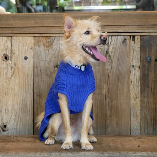 Dog Sweater Award (16 inch (Pack of 1) / Klein Blue)