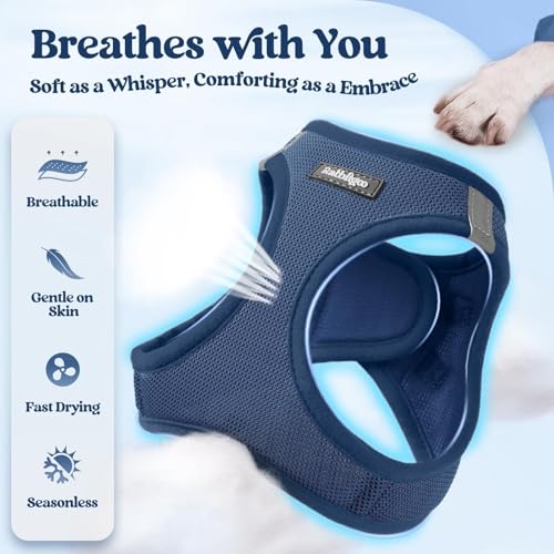 Dog Harness Small Sized and Leash Set (Navy Blue / S (chest: 15.1 - 16.5"))