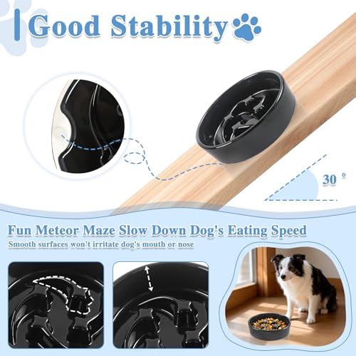 Ceramic Slow Feeder Dog Bowls (Black-M)