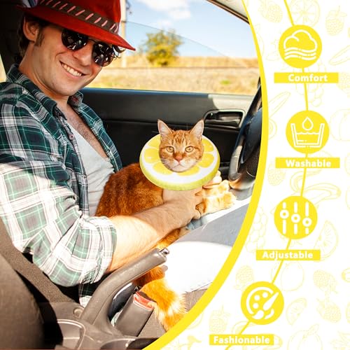 Cat Cone Collar Soft (Lemon / Large)