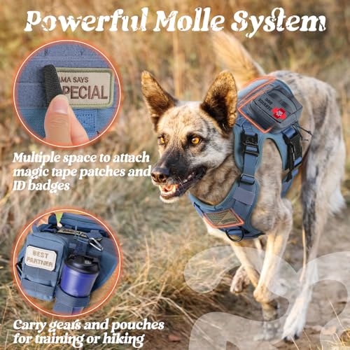 Tactical Dog Harness X (Blue / X-Large)