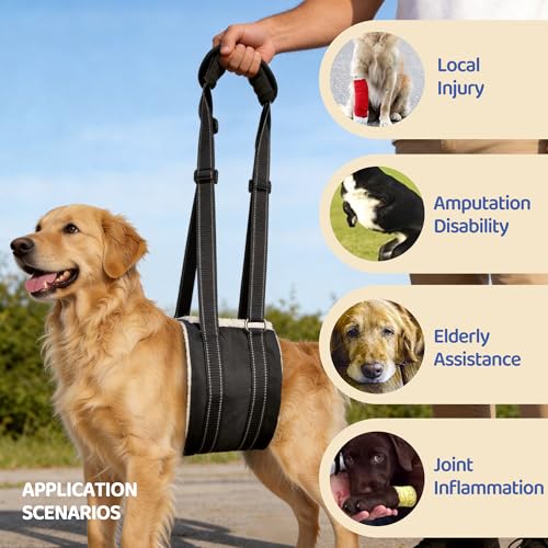 Adjustable Dog Lift Harness (Black03)