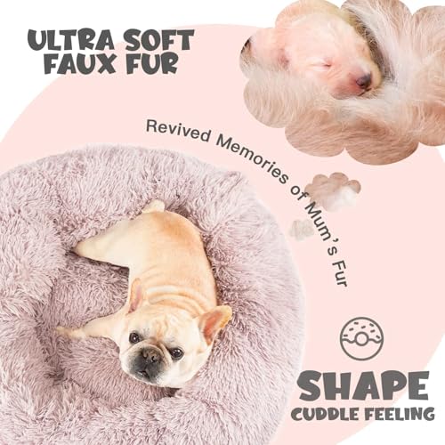 Covered Medium Dog Bed with Blanket Attached Calming Burrow Beige (26.0"L x 26.0"W x 9.0"Th / Beige)