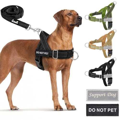No Pull Dog Harness and Leash Set (Black / Medium)