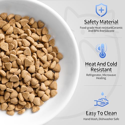Cat Food Bowls (Deep Dish | 3 PCS / Fishbone)