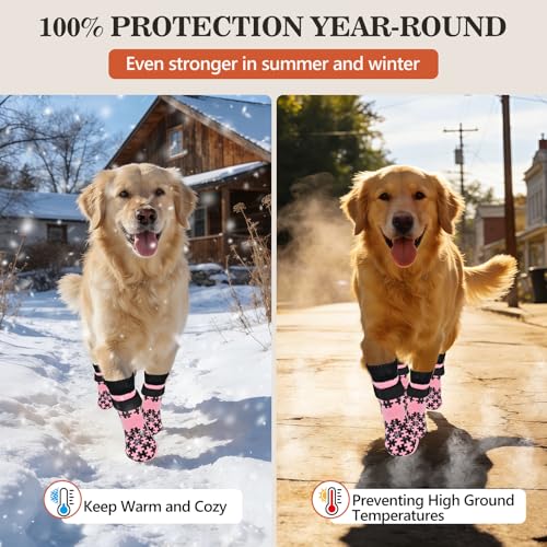 Dog Socks for Outside (XL(Pack of 4))