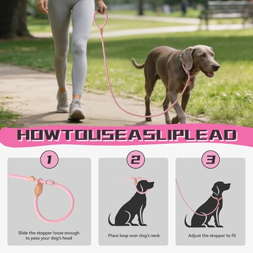 Heavy Duty Slip Lead No Pull Leash 6 (Pink / 4 Feet)