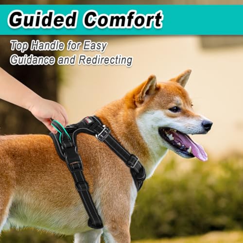 Dog Harness for Large Dog No Pull 2 Clips 3 Buckles Dog Vest (Large / New Black)