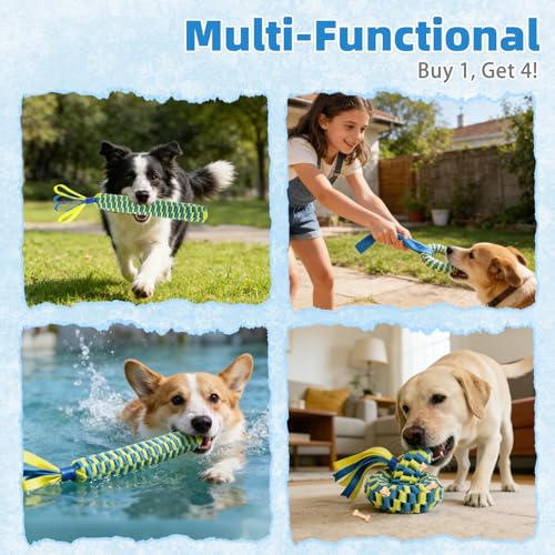 Snuffle Ball for Dogs