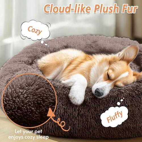 Calming Dog Bed Medium Size Dog (Chocolate / 31.0"L x 31.0"W x 8.0"Th)