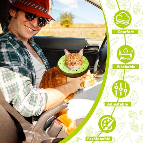 Cat Cone Collar Soft (Kiwifruit / Large)