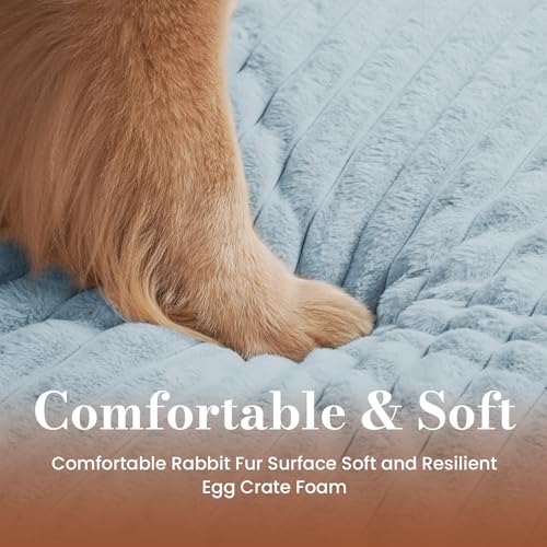 Extra Large Dog Bed Orthopedic Foam with Waterproof Lining (XX-L(47"*29"*4") / Blue)