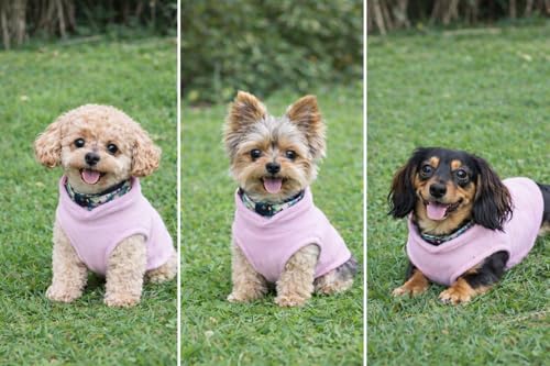 Dog Fleece Vest Sweater with Leash Ring (XS (2-4lbs) / Pink Lemonade)