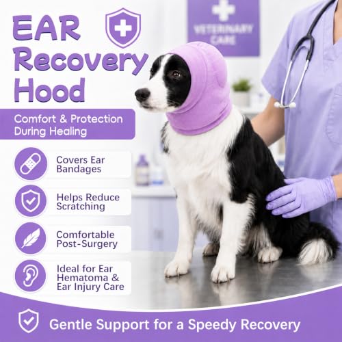 No Shake Dog Ear Wrap Quiet Ear Muffs for Hematoma (Purple / Large(Head Girth：15.8-16.7in))