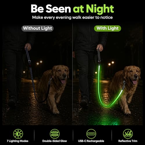 5 Ft LED Dog Leash (5 Ft)