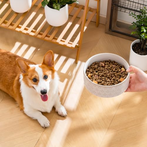 Ceramic Dog Food Bowl (Five-leaf Grass / 4 Cups)
