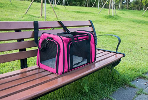 Soft Sided Carrier for Small Medium Cats Dogs (17.0"L x 11.0"W x 11.0"H / Magenta)