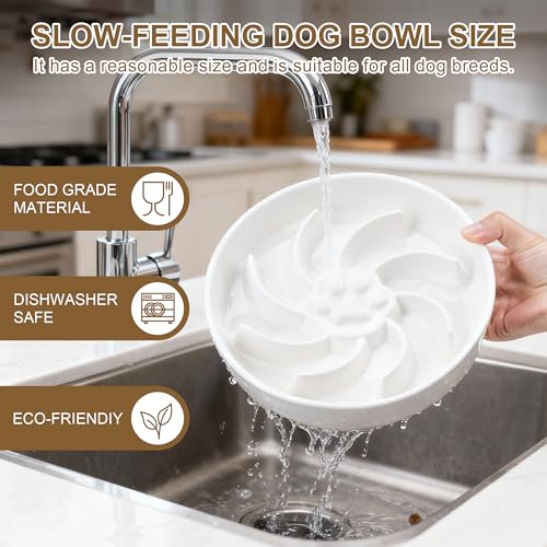Ceramic Slow Feeder Dog Bowl (White)
