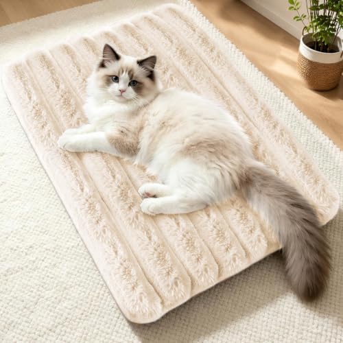 Cat Bed Mat for Indoor Cats (White / Medium 23.6×15.7 inch)