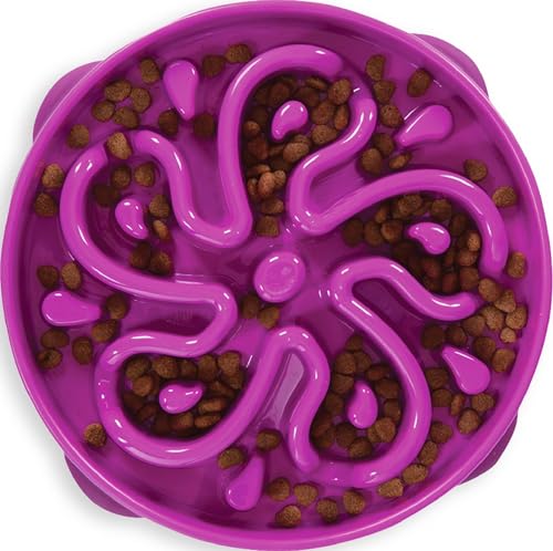 Fun Feeder Slo Bowl (Purple / Large)