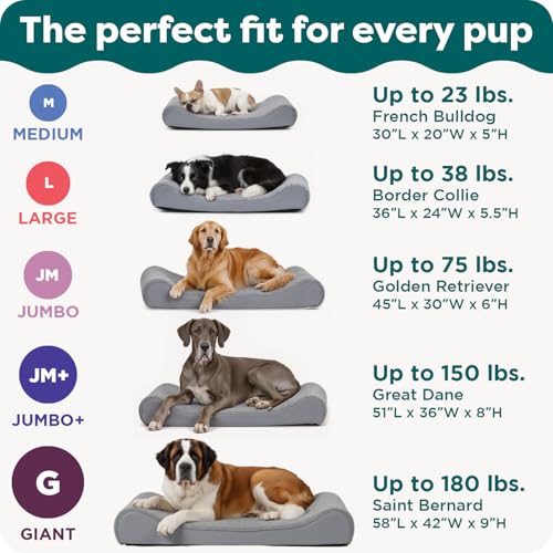 Ultra Plush & Suede Luxe Lounger Orthopedic Pet Bed (Jumbo Plus/XXL / Chocolate)