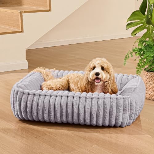 Small Dog Bed Calming Cat Bed for Indoor Cats 20’’x16’’ Grey (Grey / 20"L x 16"W x 6"Th)