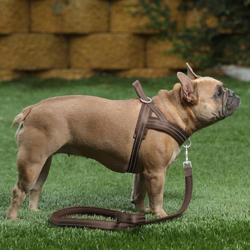 No Pull Dog Harness for Small Dogs (S: chest 17"-19.7" / Chocolate)