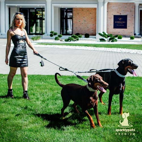 Premium Double Leash for Two Dogs (Adjustable Premium Silver)