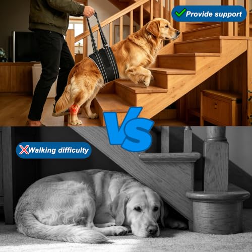 Dog Lift Harness for Large Dogs