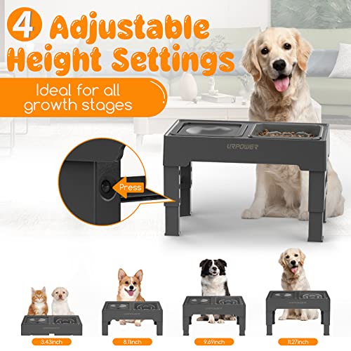 2-in-1 Elevated Slow Feeder Dog Bowls with No-Spill Water Bowl (Grey / Slow Feeder)