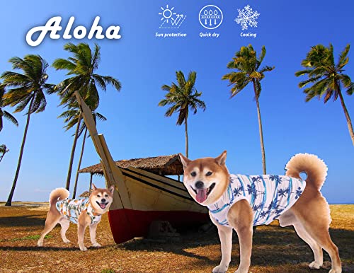 Hawaiian Dog Shirts (Blue+Yellow / XXX-Large)