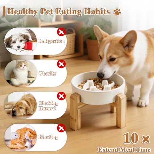 6.3” Elevated Slow Feeder Dog Bowls (White-M)